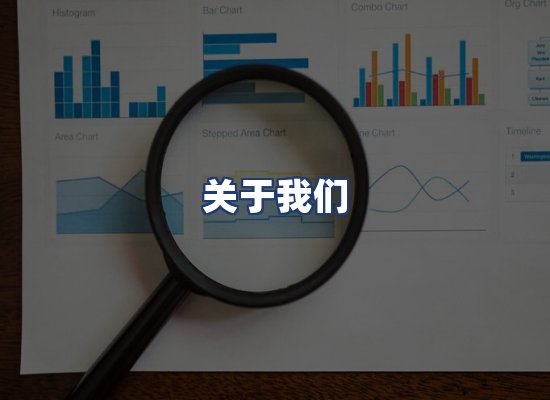 关于我们