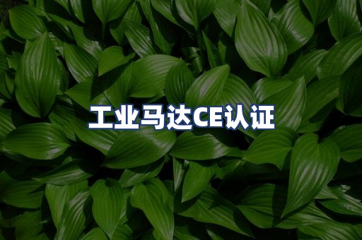 工业马达CE认证